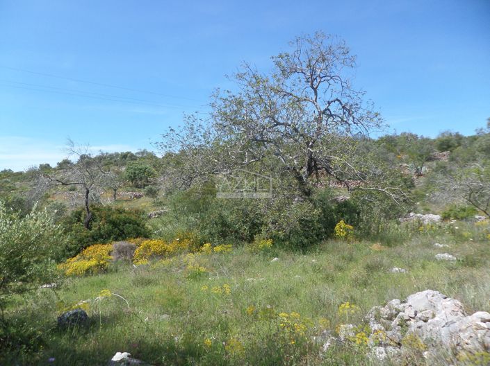 Image No.8-Terrain à vendre à Loule