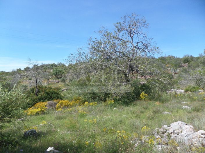 Image No.8-Plot for sale