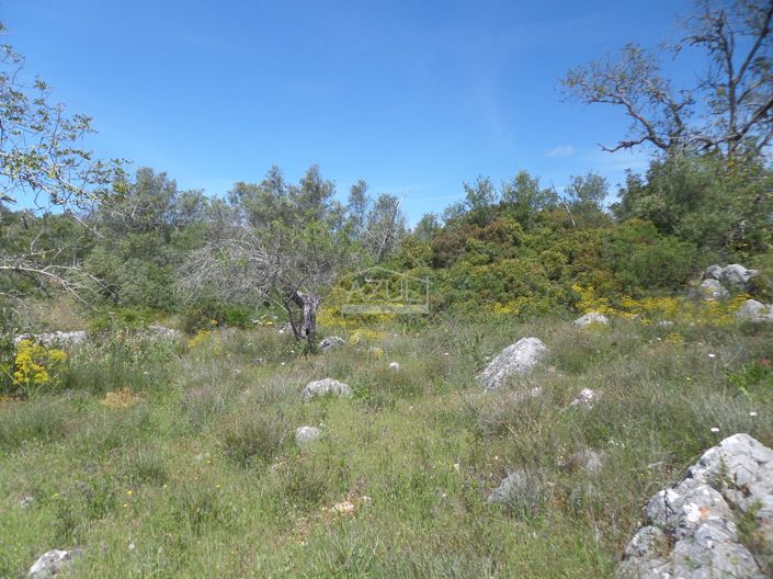 Image No.9-Terrain à vendre à Loule