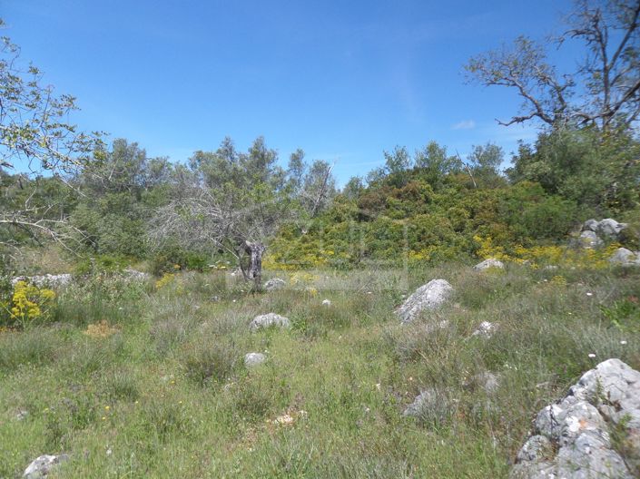 Image No.9-Plot for sale