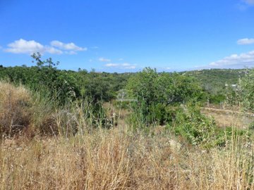 1 - Loule, Terrain