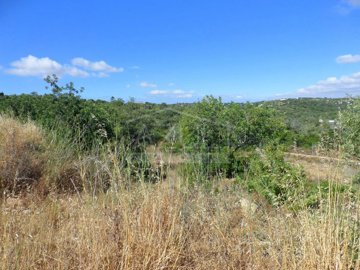 1 - Loule, Plot