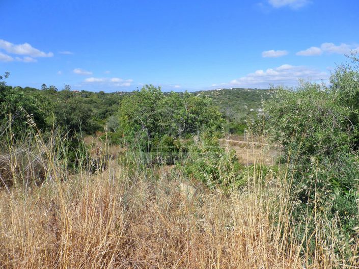Image No.7-Plot for sale