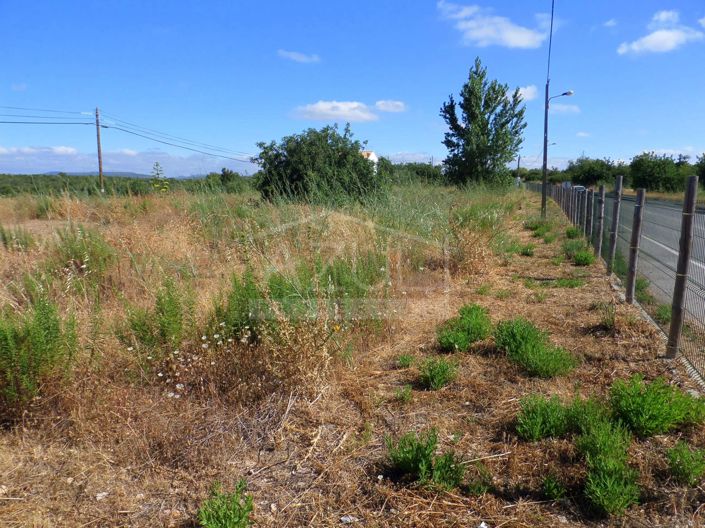 Image No.8-Plot for sale