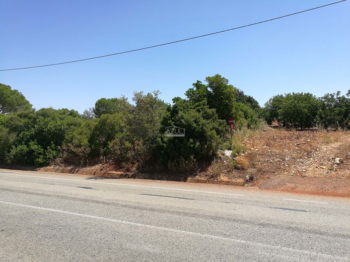 Image No.2-Terre à vendre à Loule