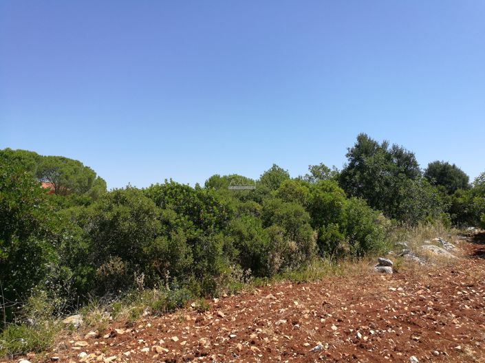 Image No.4-Terre à vendre à Loule
