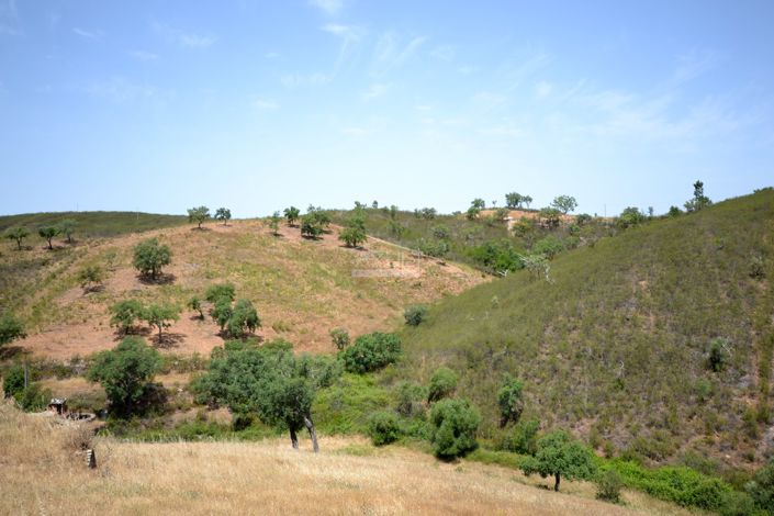 Image No.19-Terrain à vendre à Loule