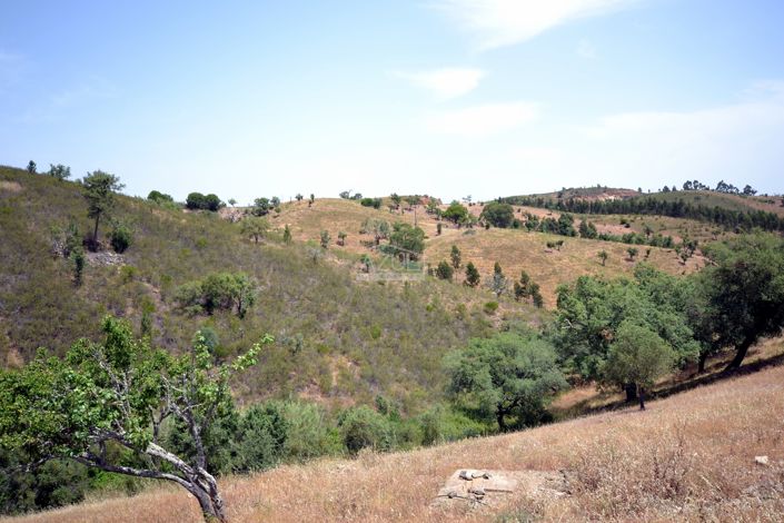 Image No.5-Terrain à vendre à Loule