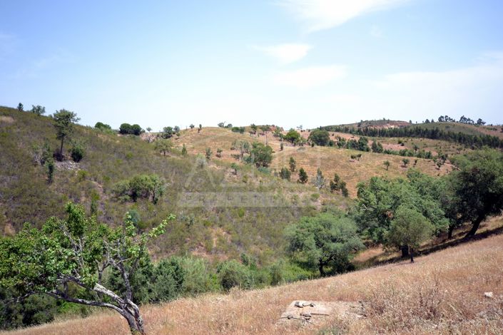 Image No.5-Plot for sale