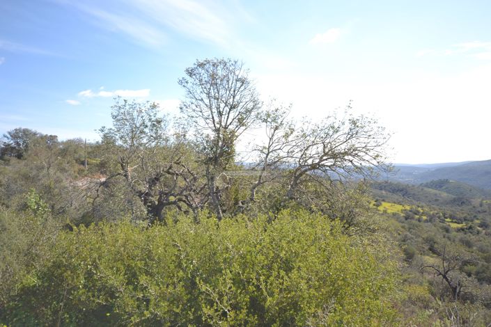 Image No.20-Villa de 2 chambres à vendre à Loule