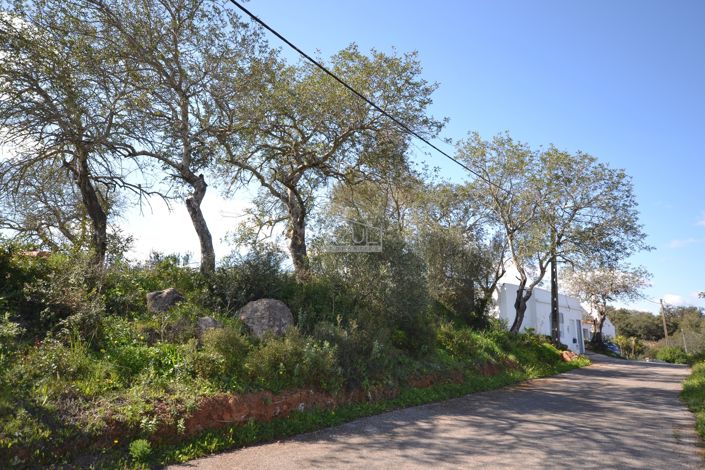 Image No.24-Villa de 2 chambres à vendre à Loule