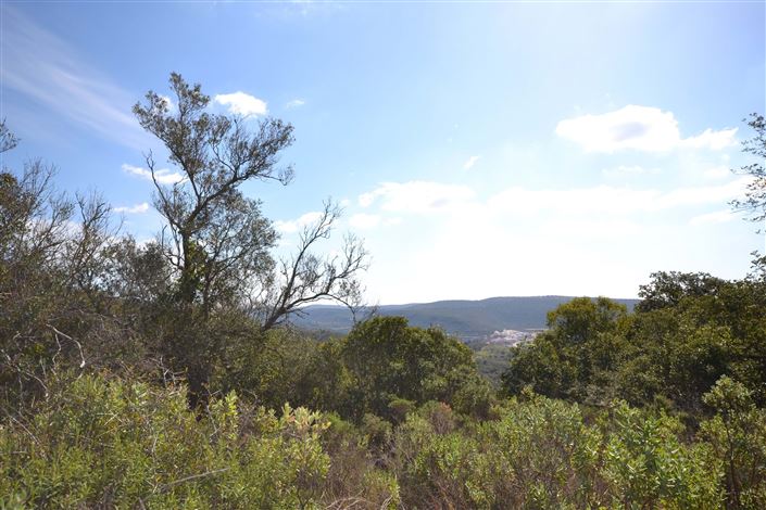 Image No.26-Villa de 2 chambres à vendre à Loule