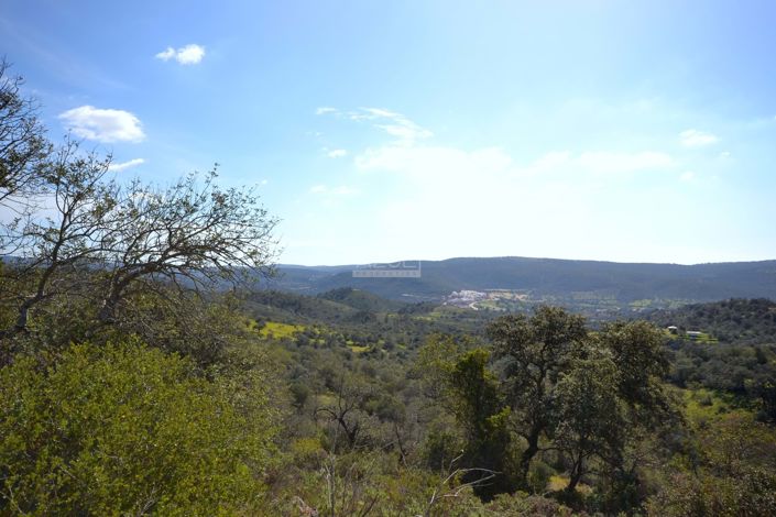 Image No.9-Villa de 2 chambres à vendre à Loule