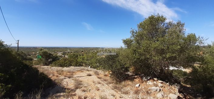 Image No.8-Land for sale