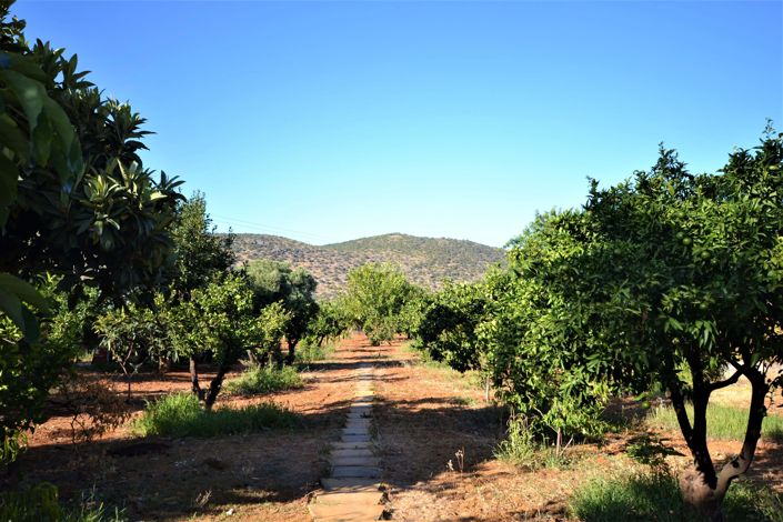 Image No.23-3 Bed Property for sale