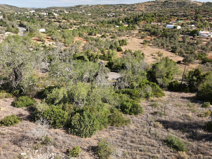 Image No.10-Terre à vendre à Loule