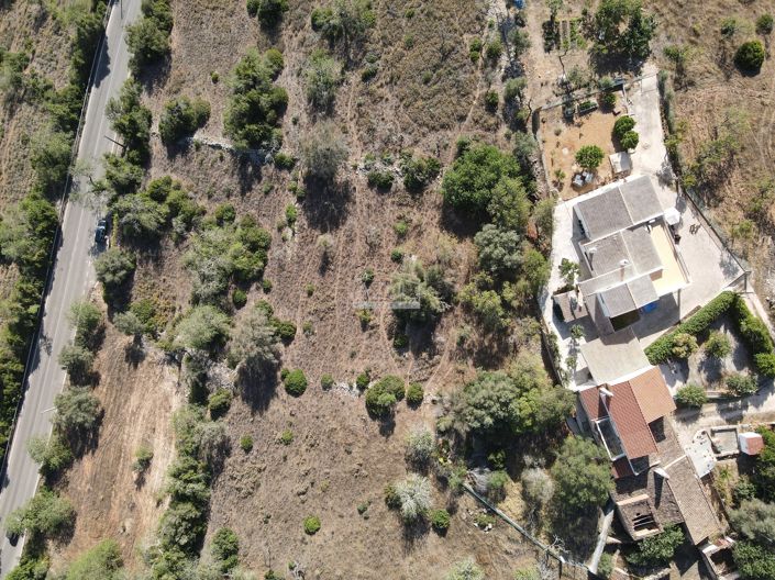 Image No.3-Terre à vendre à Loule