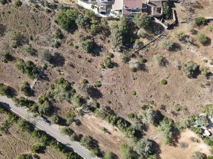 Image No.4-Terre à vendre à Loule