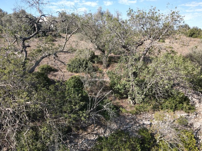 Image No.6-Terre à vendre à Loule