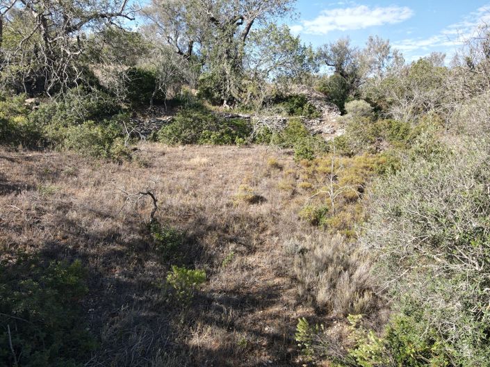 Image No.7-Terre à vendre à Loule