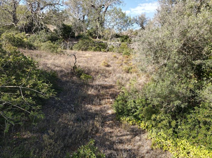 Image No.8-Terre à vendre à Loule