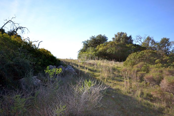 Image No.10-Terre à vendre à Loule