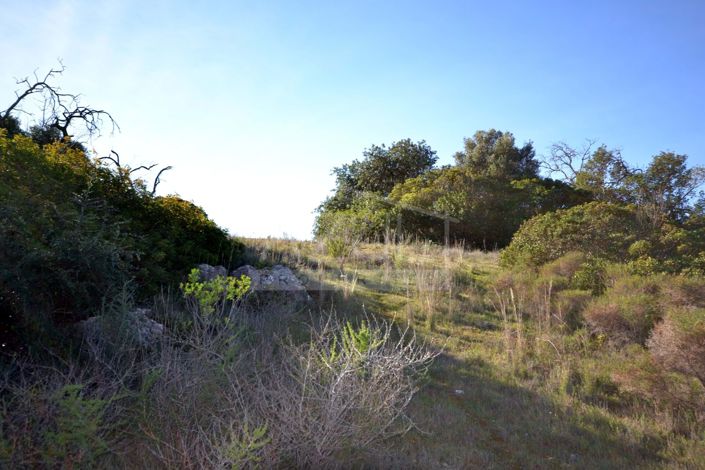 Image No.10-Land for sale