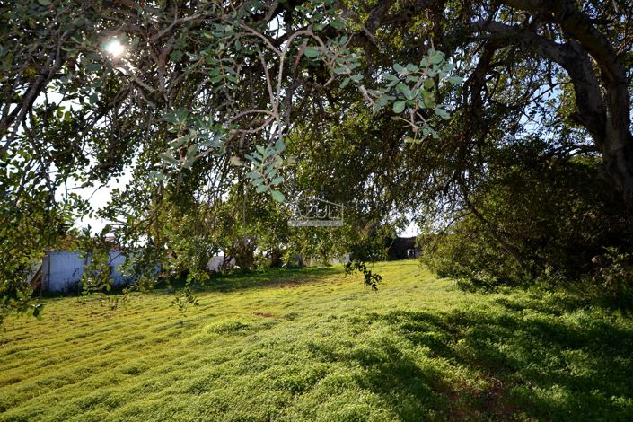 Image No.11-Terre à vendre à Loule