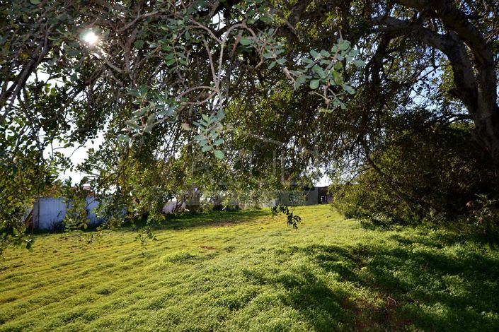 Image No.11-Land for sale