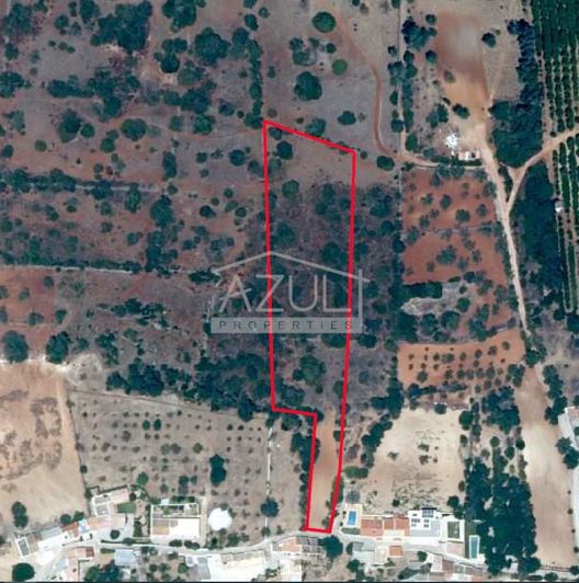 Image No.5-Terre à vendre à Loule