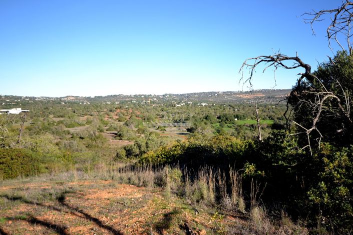 Image No.7-Terre à vendre à Loule