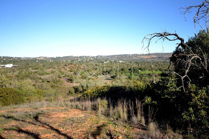Image No.7-Land for sale