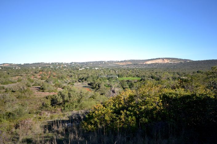 Image No.8-Terre à vendre à Loule