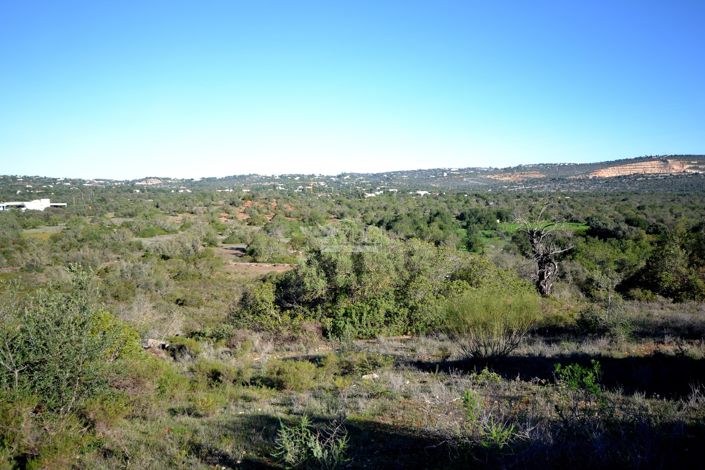 Image No.9-Terre à vendre à Loule