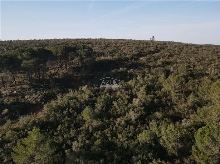 Image No.11-Plot for sale