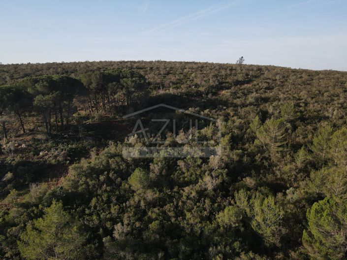 Image No.11-Plot for sale