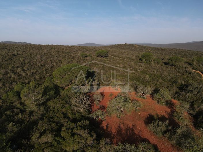 Image No.12-Plot for sale
