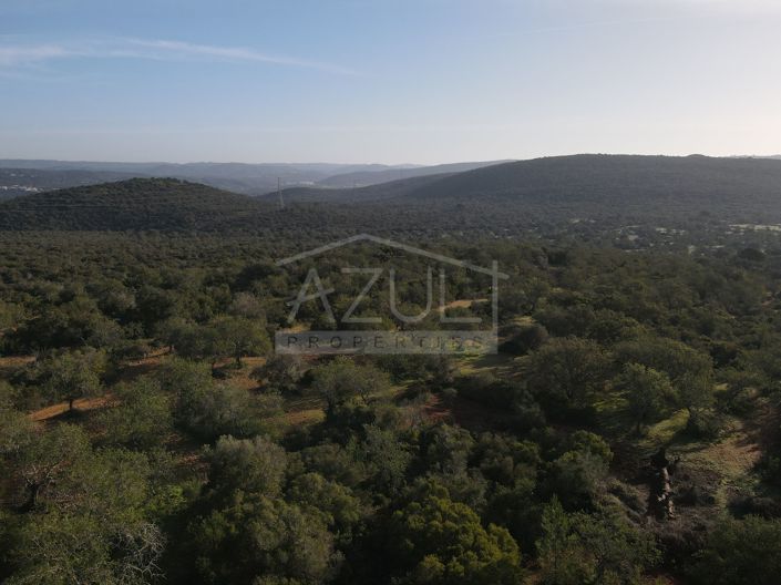 Image No.14-Plot for sale