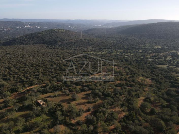 Image No.20-Plot for sale