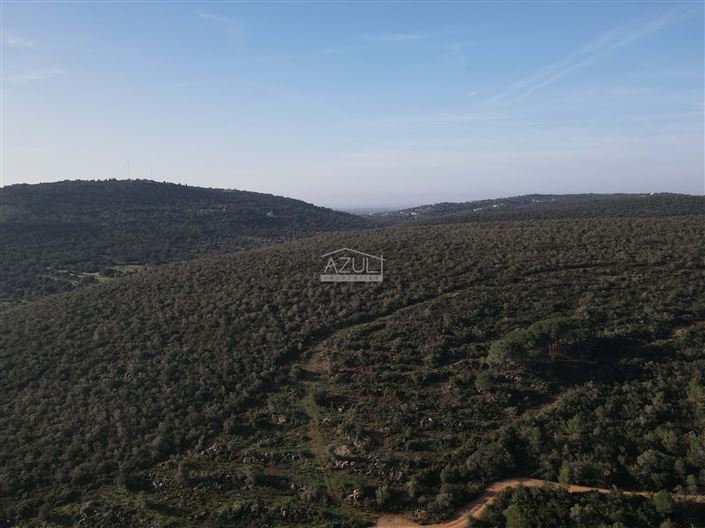 Image No.24-Plot for sale