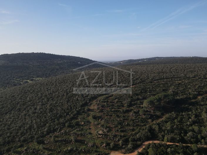 Image No.24-Plot for sale