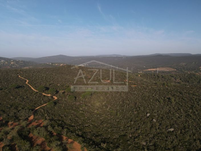 Image No.26-Plot for sale