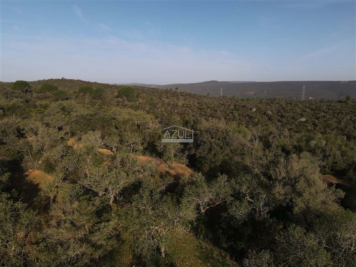 Image No.4-Plot for sale