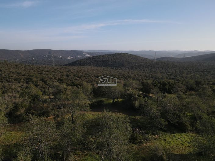 Image No.5-Plot for sale