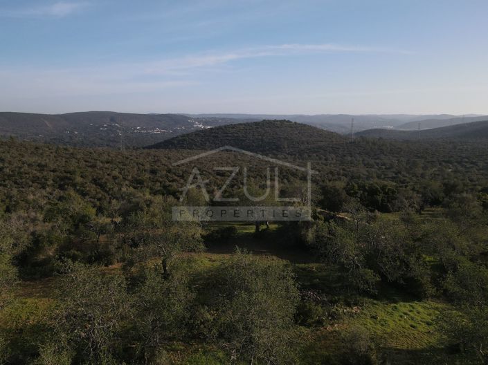Image No.5-Plot for sale