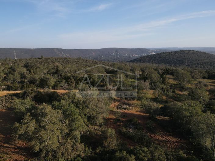 Image No.7-Plot for sale