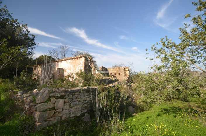 Image No.5-Plot for sale