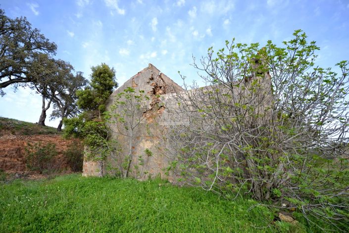 Image No.17-3 Bed Plot for sale