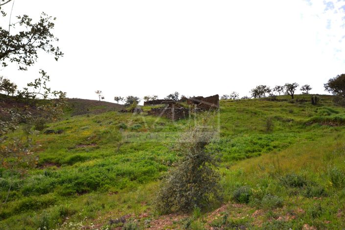 Image No.22-3 Bed Plot for sale