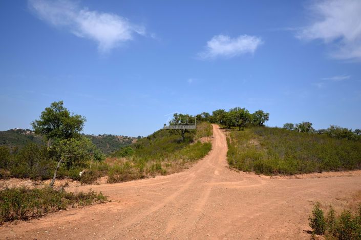 Image No.24-3 Bed Plot for sale